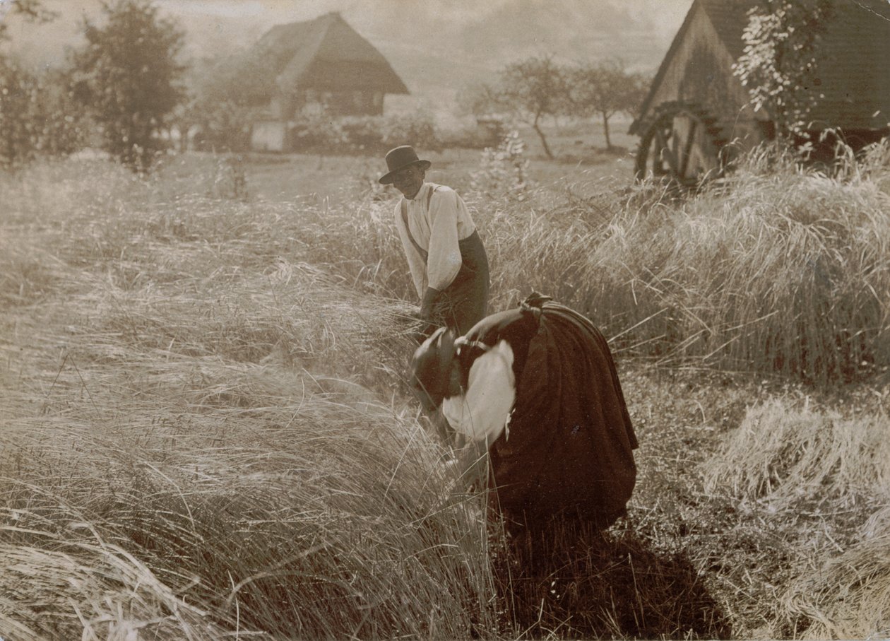 Vroege ochtend door Alfred Stieglitz