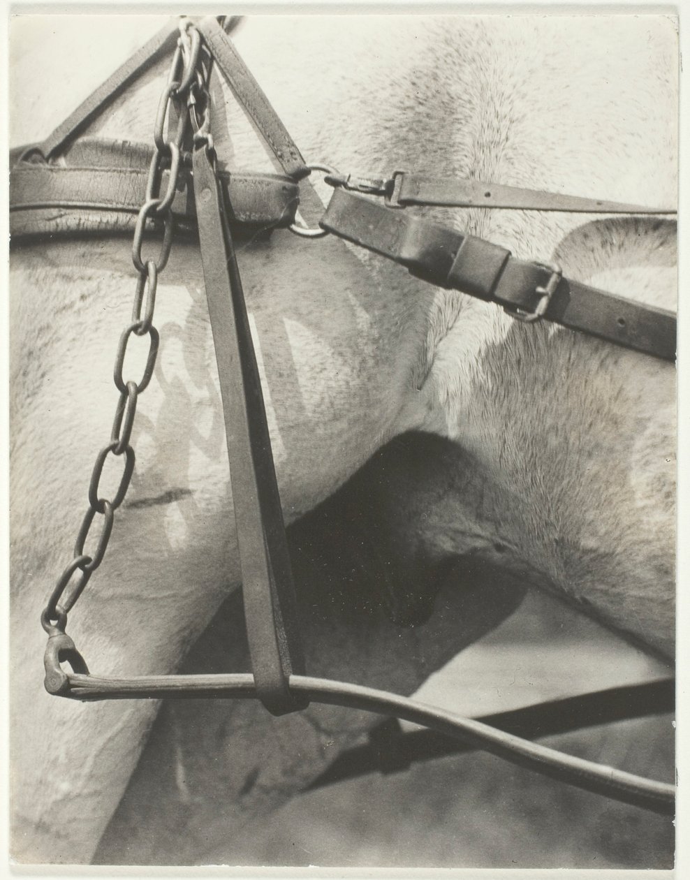 Equivalent, Spiritueel Amerika door Alfred Stieglitz