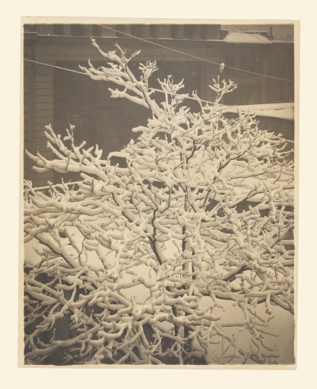 Vanuit het achterraam van 291 door Alfred Stieglitz