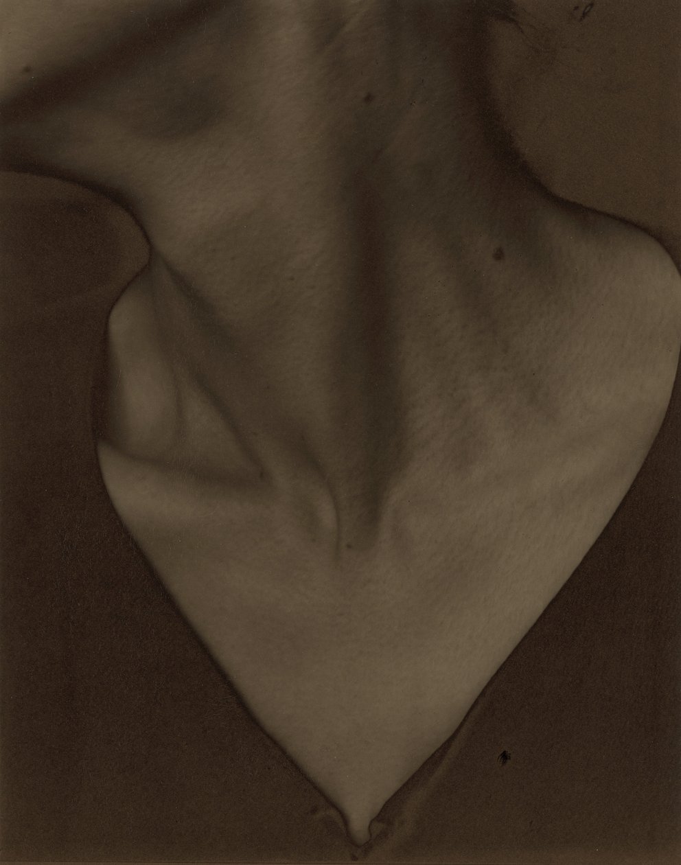 Georgia O’Keeffe — Hals door Alfred Stieglitz