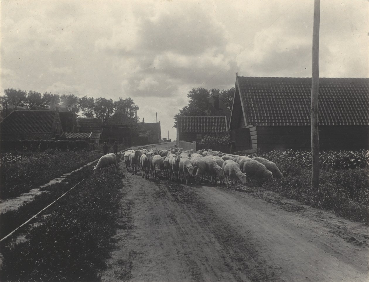 Op weg naar de weide door Alfred Stieglitz