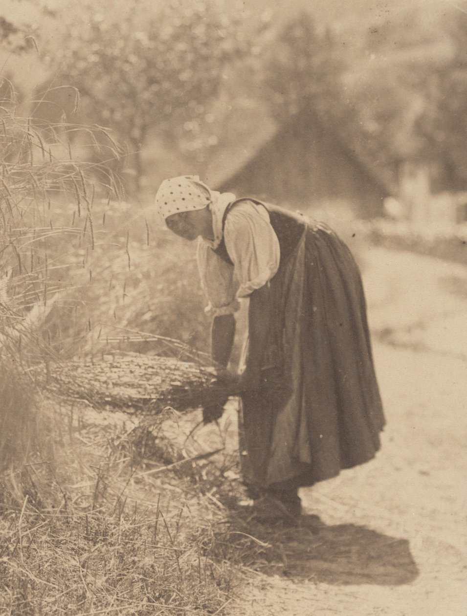 Oogsten door Alfred Stieglitz