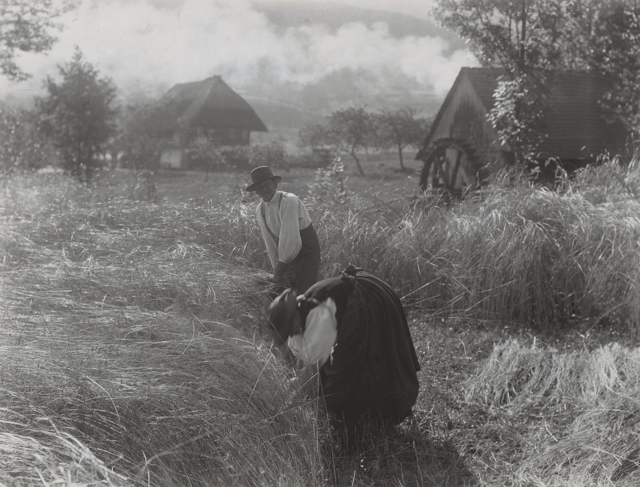 Oogst, Zwarte Woud door Alfred Stieglitz