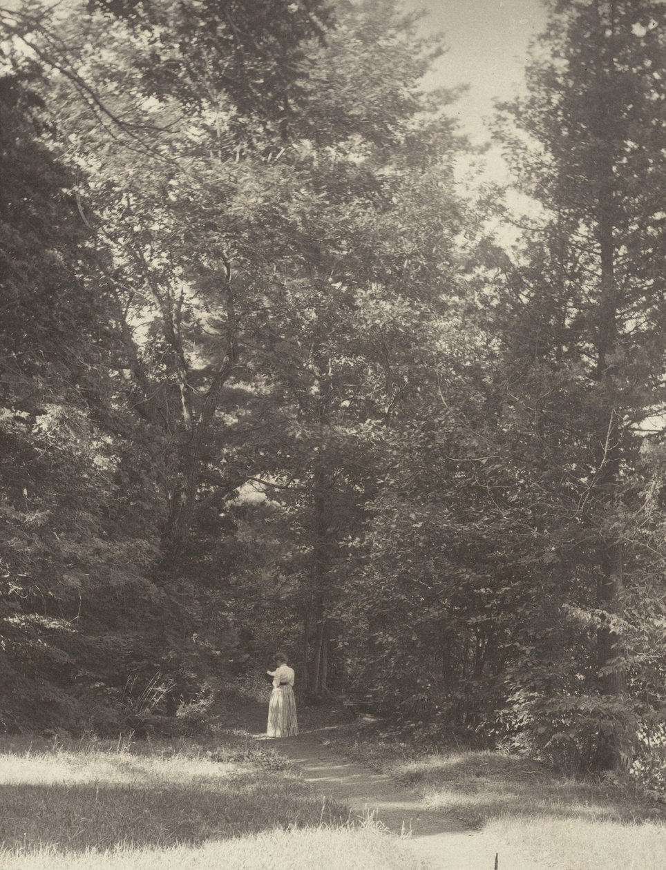 "Hedwigsweg" II, Lake George door Alfred Stieglitz