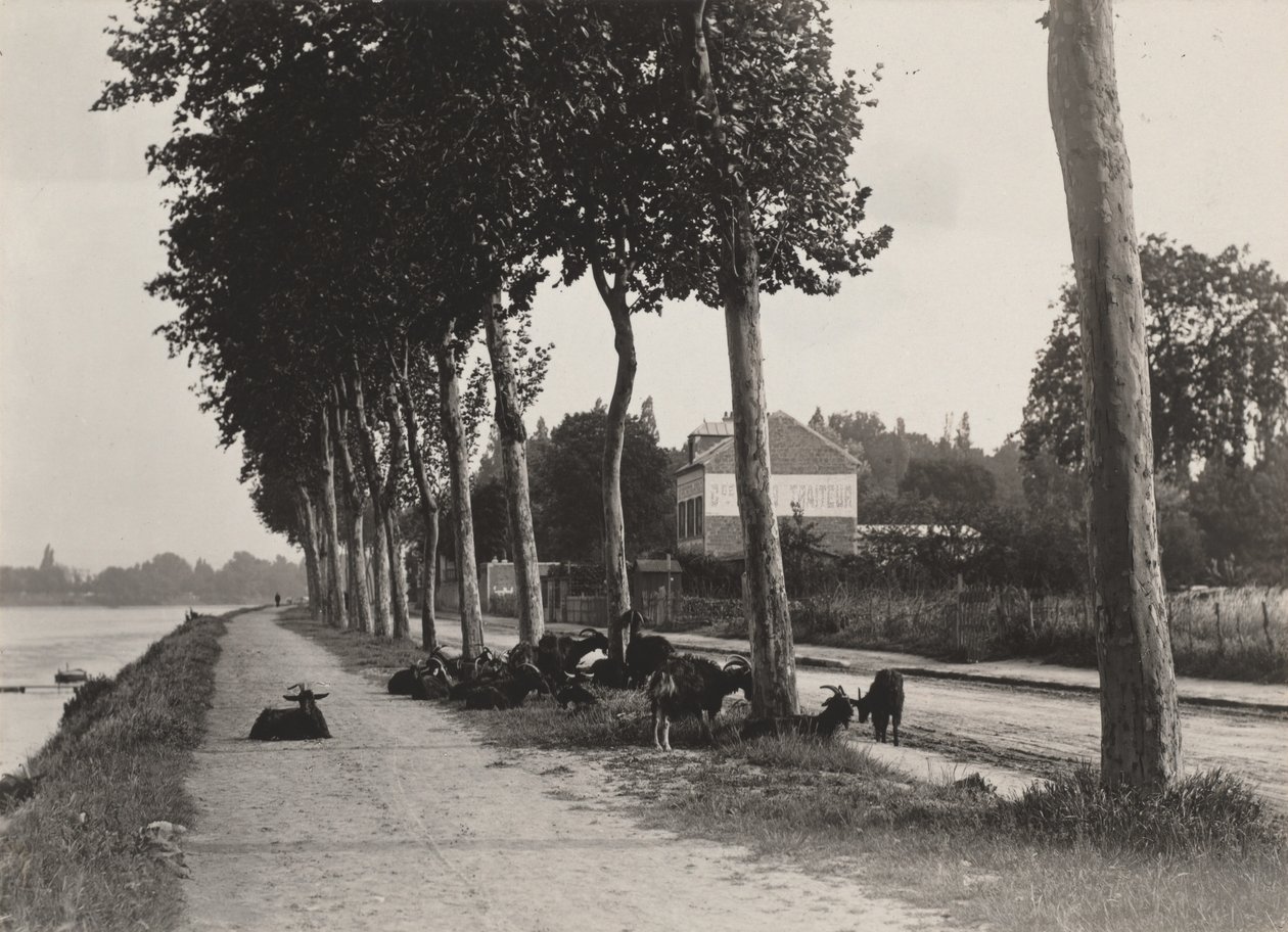 Op weg naar huis door Alfred Stieglitz