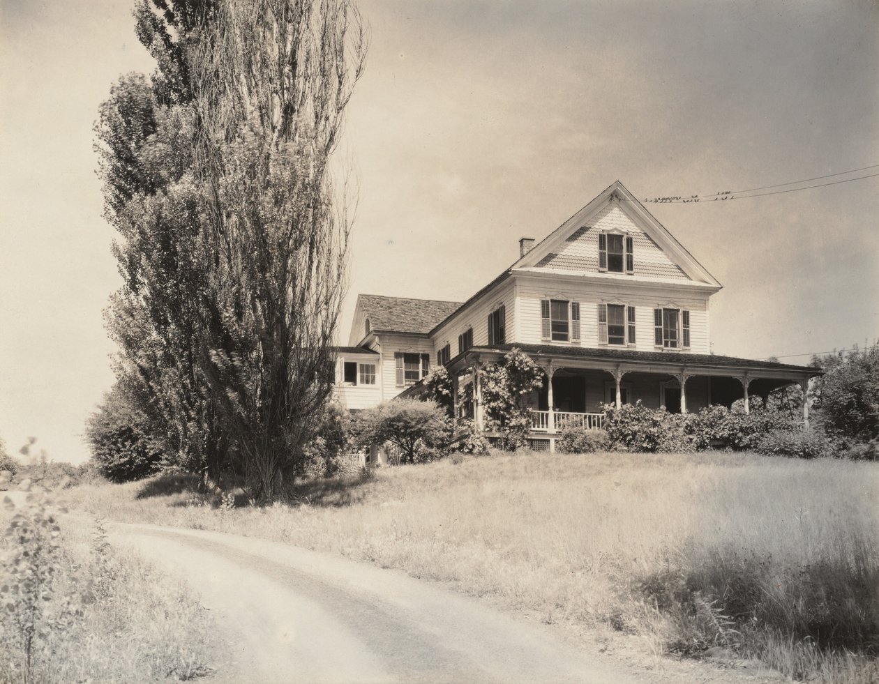 House and Poplars, Lake George door Alfred Stieglitz