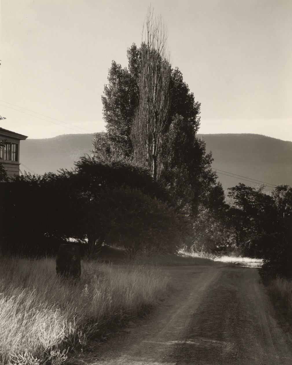 Huis en populieren, Lake George door Alfred Stieglitz