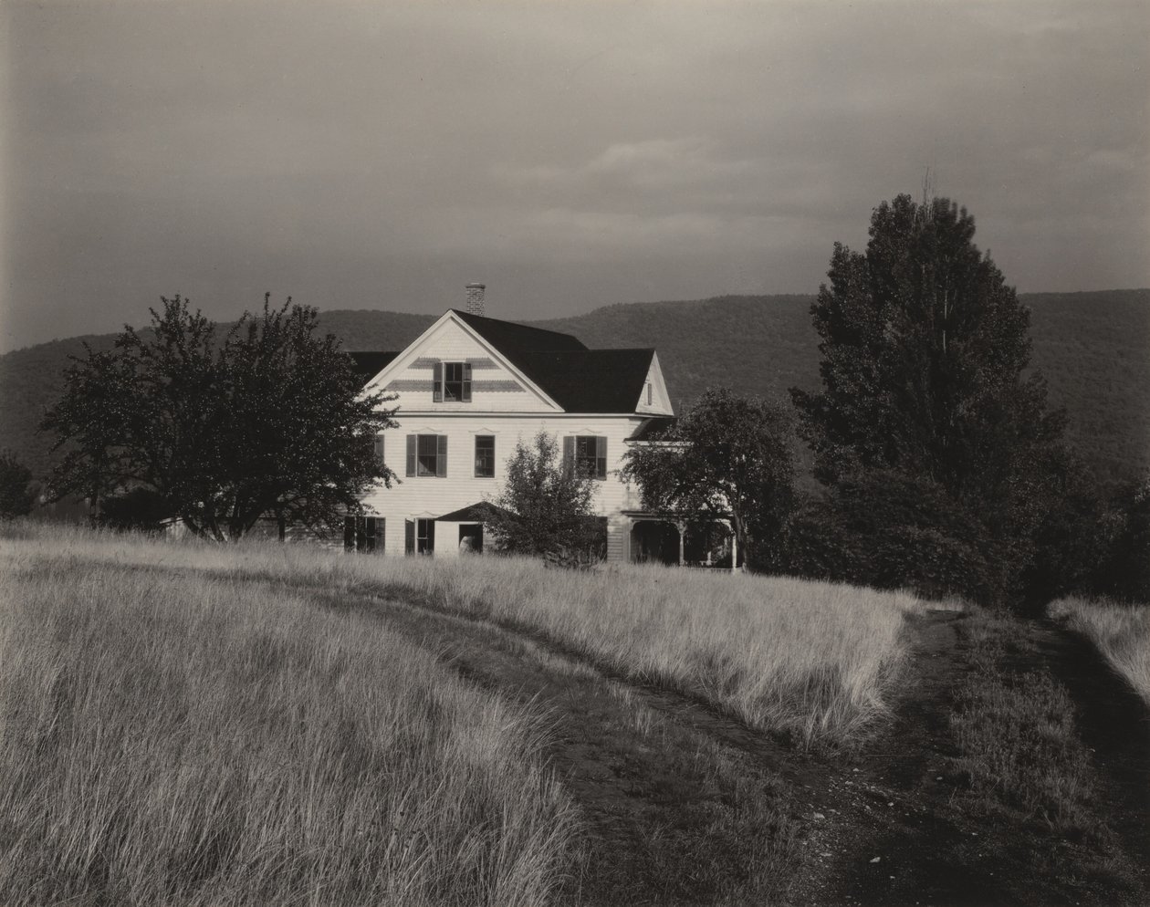 Huis en bomen, Lake George door Alfred Stieglitz
