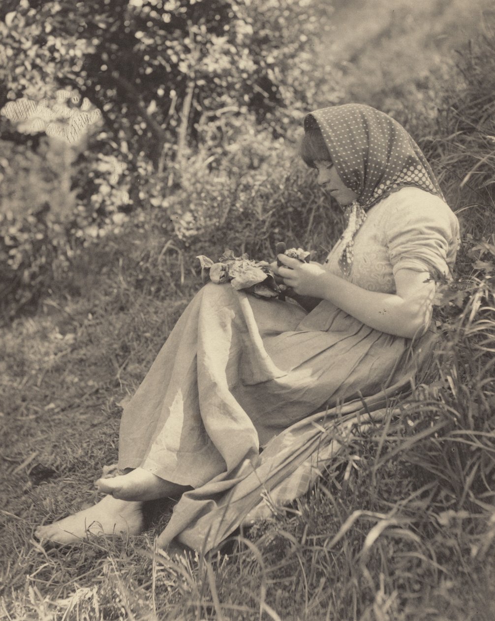 In de volle zon door Alfred Stieglitz