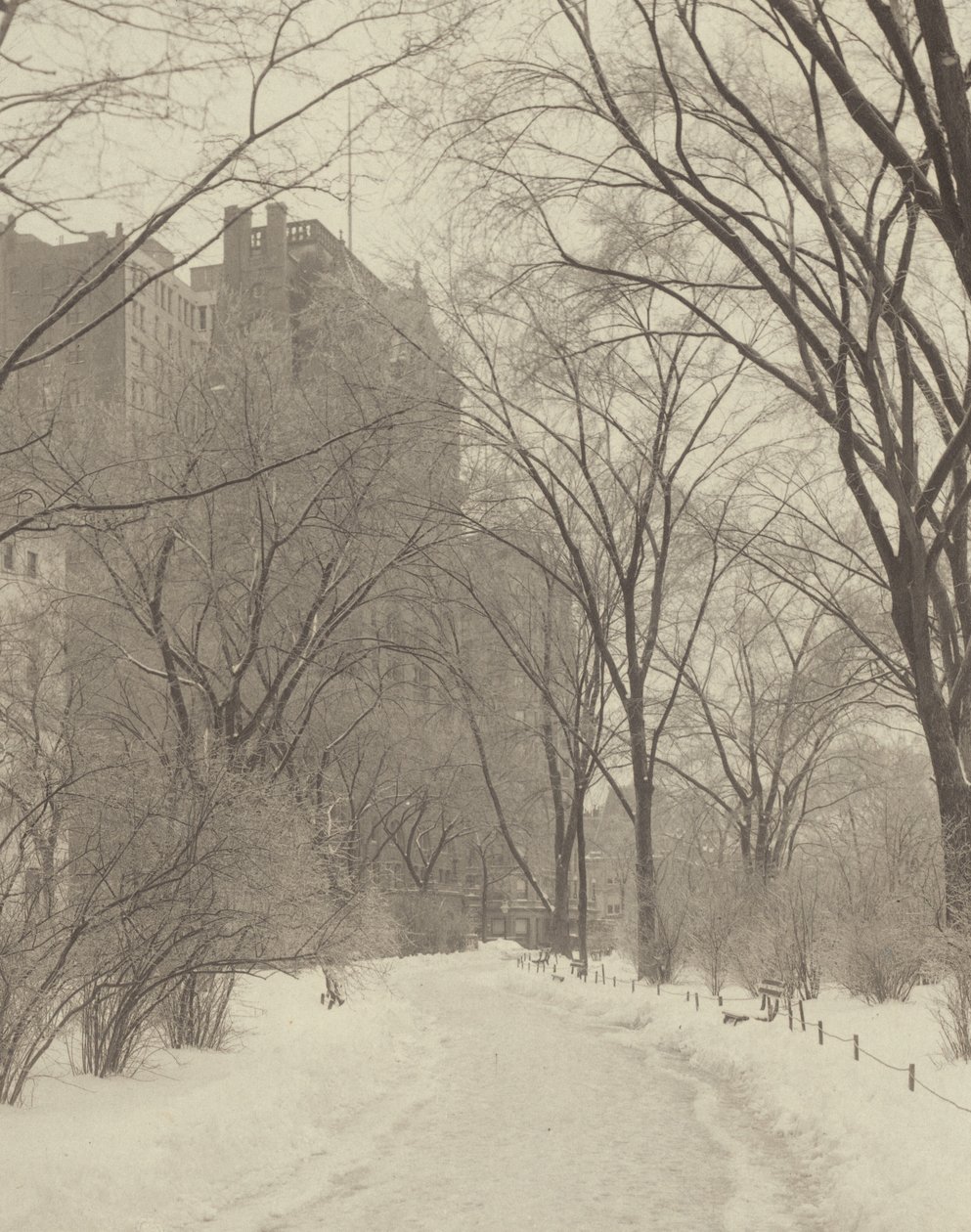 In het park door Alfred Stieglitz
