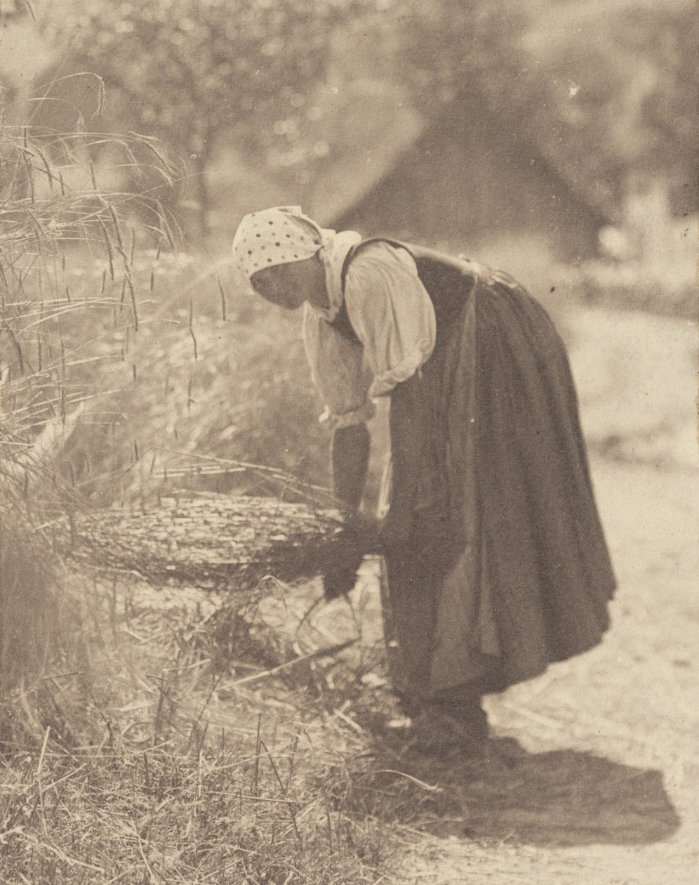 Onderbroken door Alfred Stieglitz