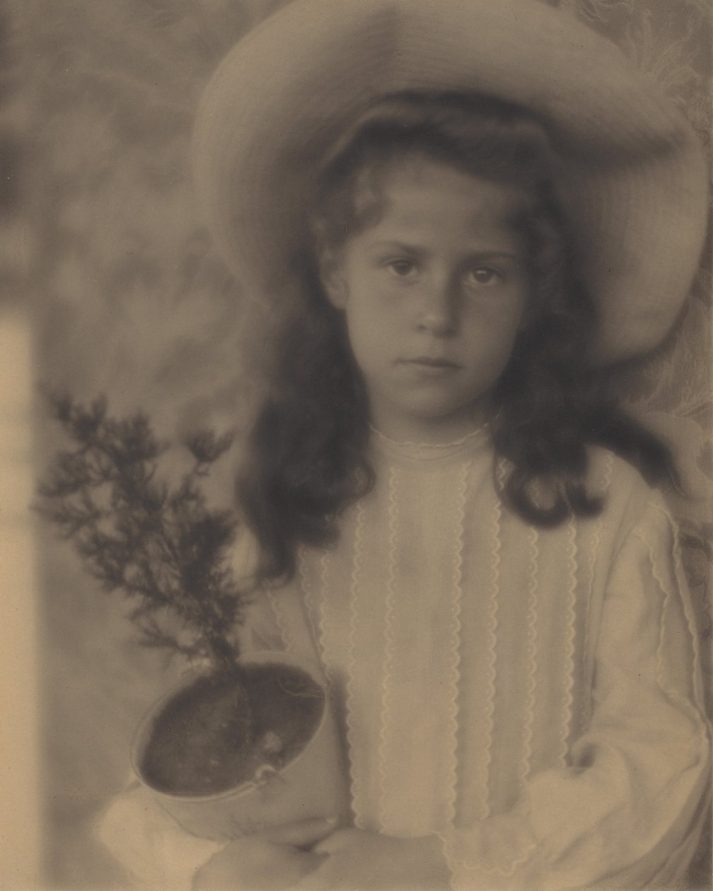 Kitty — Bloempot door Alfred Stieglitz