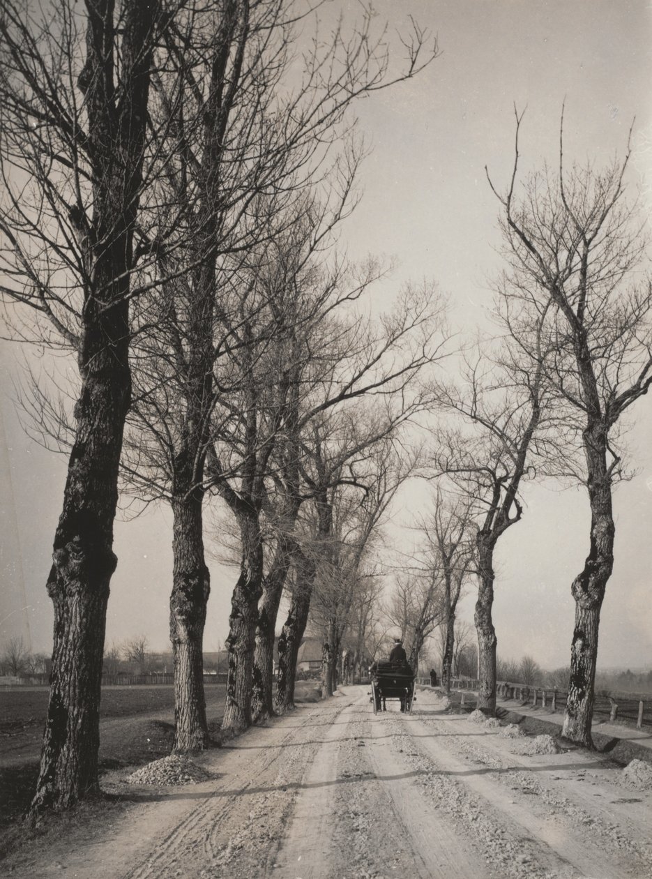 Novemberdagen door Alfred Stieglitz