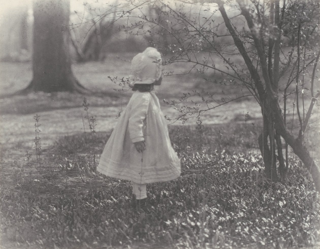 Lente door Alfred Stieglitz