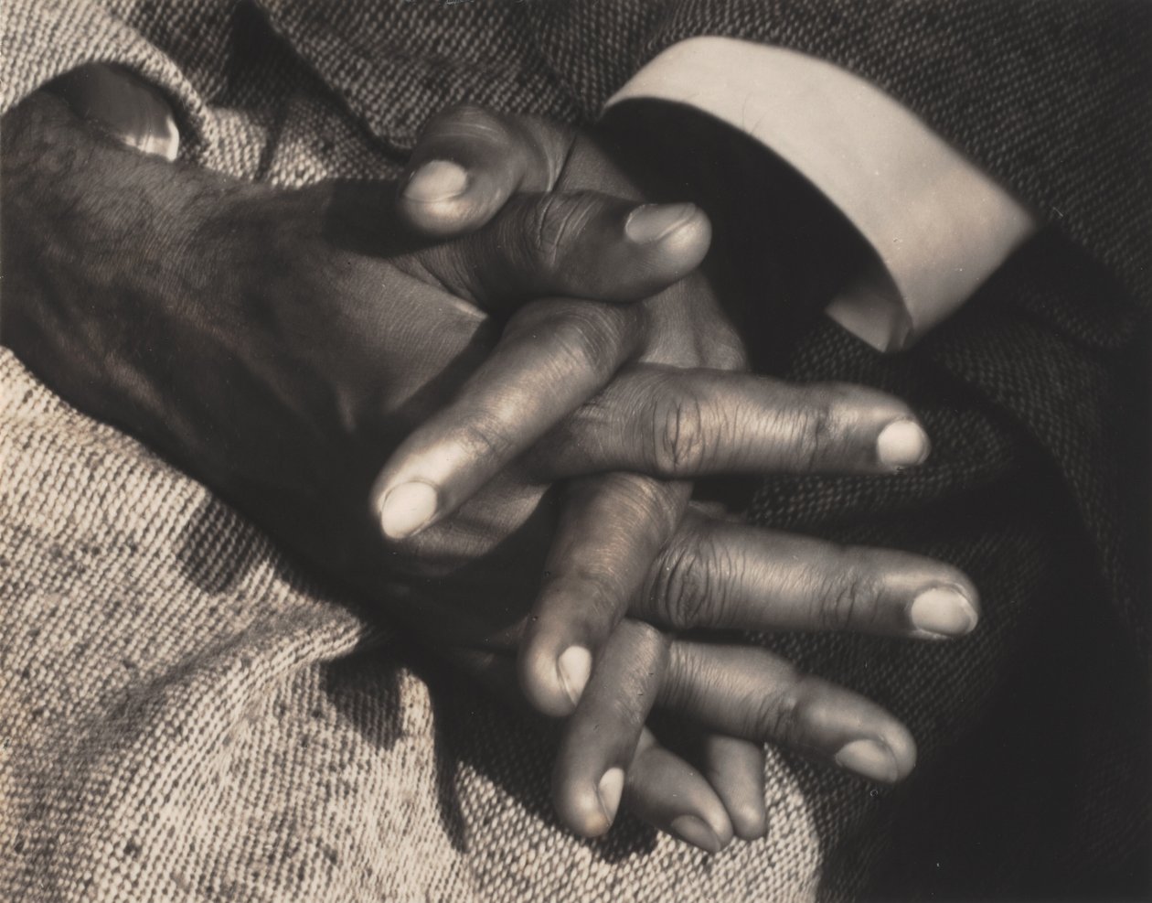 Heer van de Volmaaktheid door Alfred Stieglitz