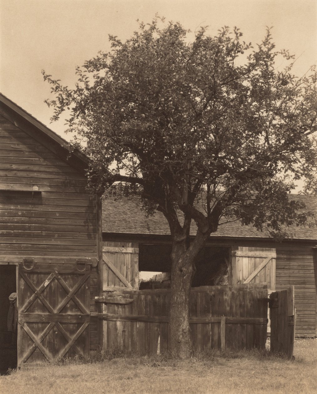 De schuur door Alfred Stieglitz