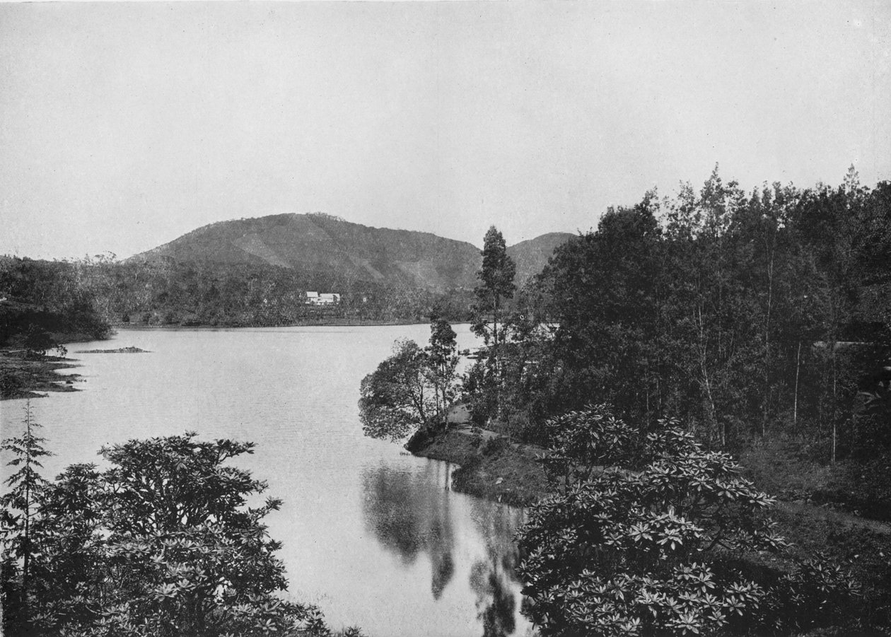 Een Hoek van Nuwara Eliya Meer, ca. 1890, 1910 door Alfred William Amandus Plate