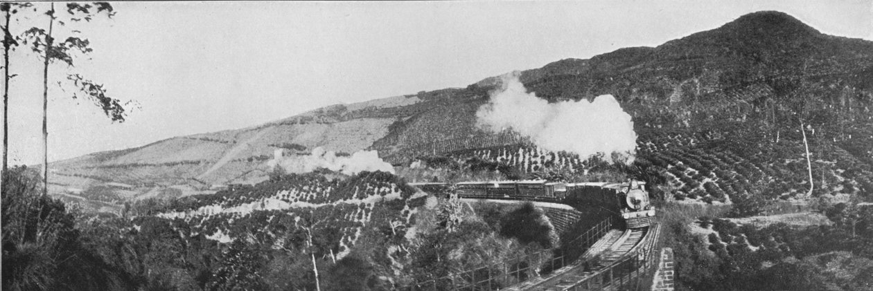 Een scène op de Up-Country Railway. Voorbij een theeplantage bij Nanu Oya, ca. 1890, 1910 door Alfred William Amandus Plate