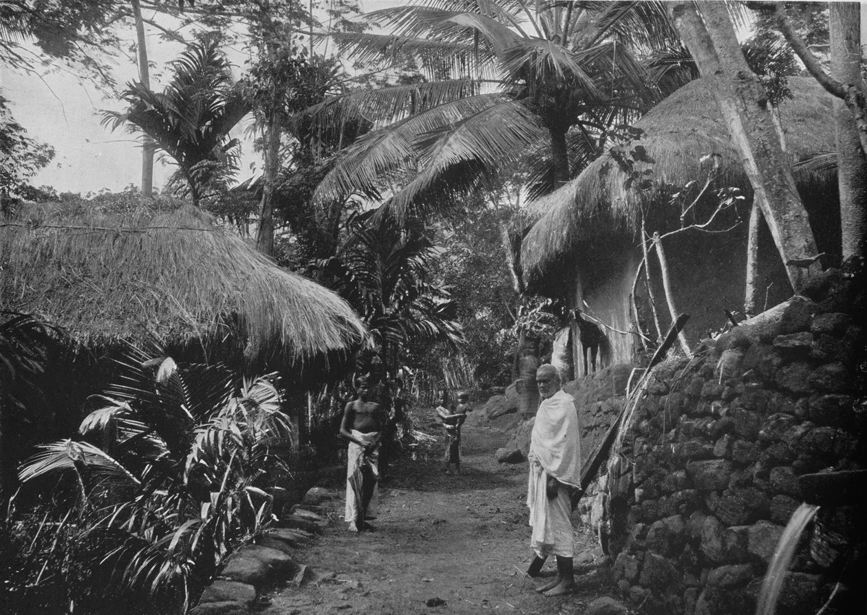 Inheemse Hutten in de Jungle, c1890, 1910 door Alfred William Amandus Plate