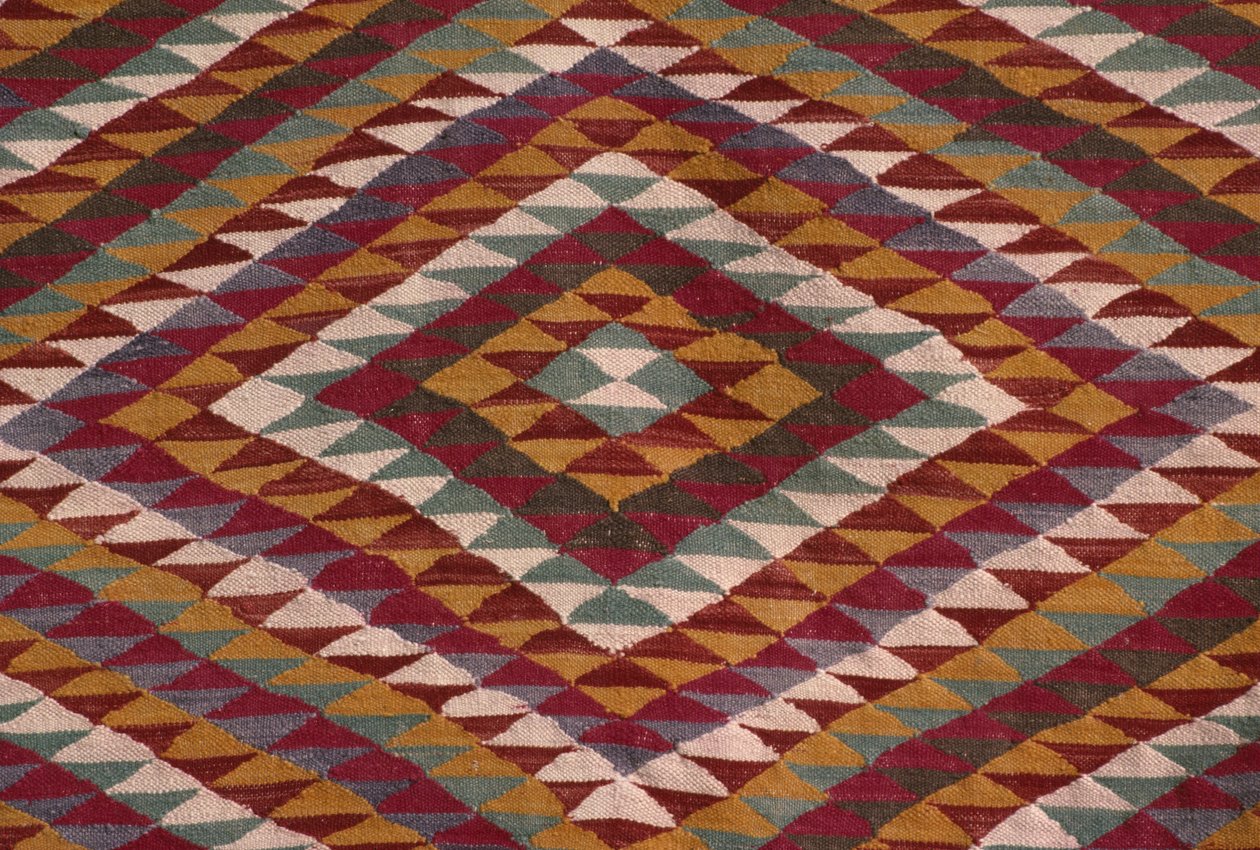 Tapijt uit de Mzab-vallei (wol) (detail) door Algerian School