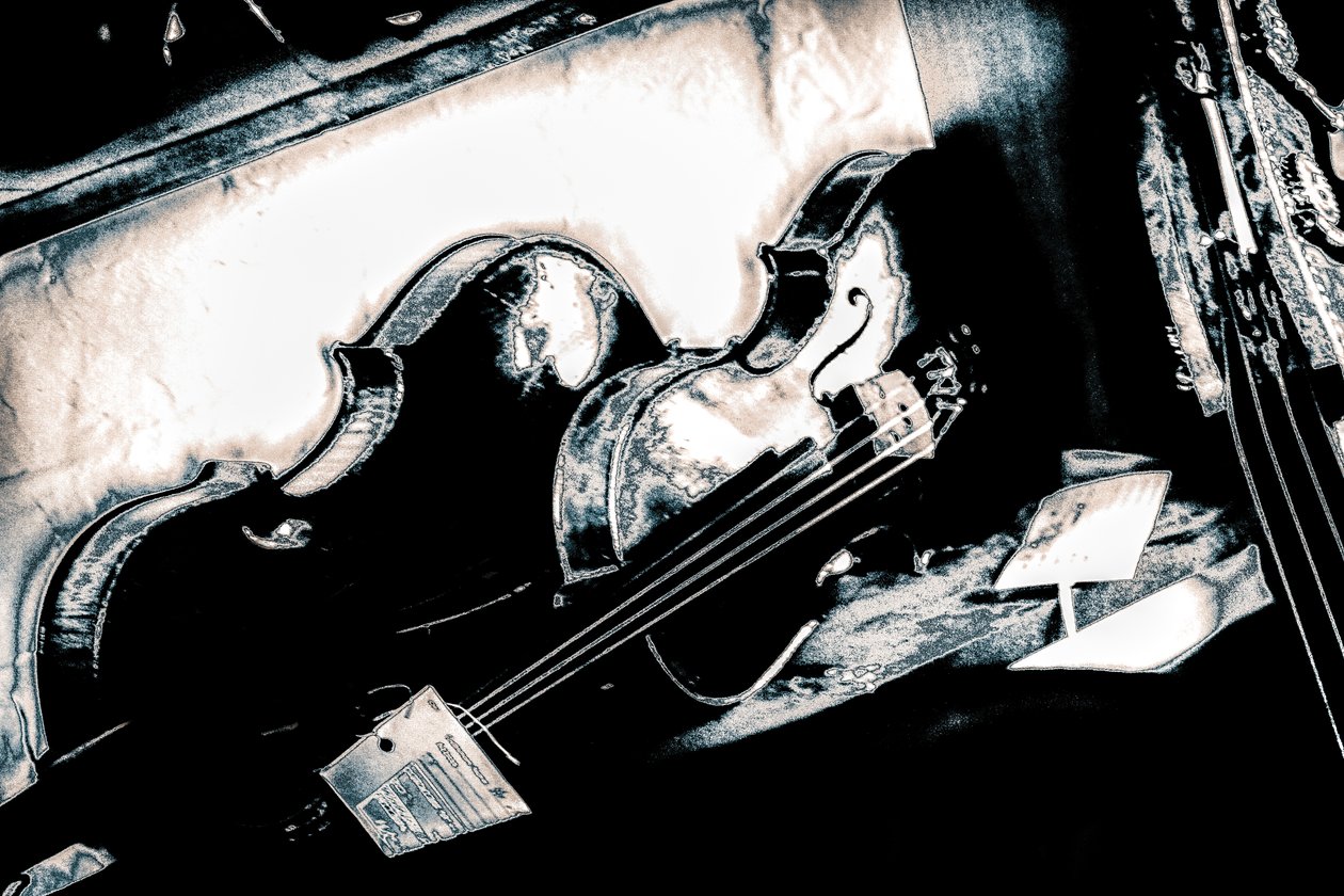 Gebroken snaar, 2018 (handgeschilderde foto) door Alice Gur-Arie