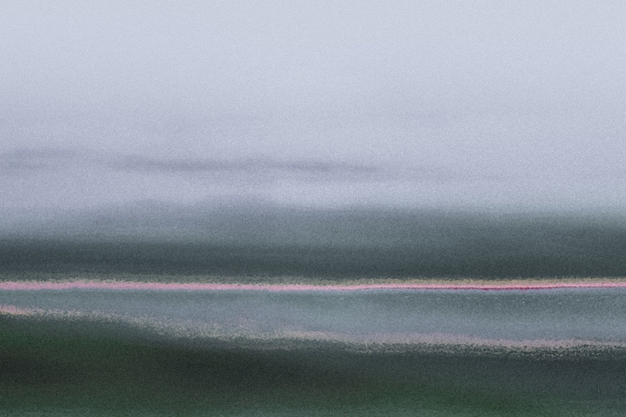 Verdant, uit de serie Conyer Reach, 2020 (handgeschilderde foto) door Alice Gur Arie
