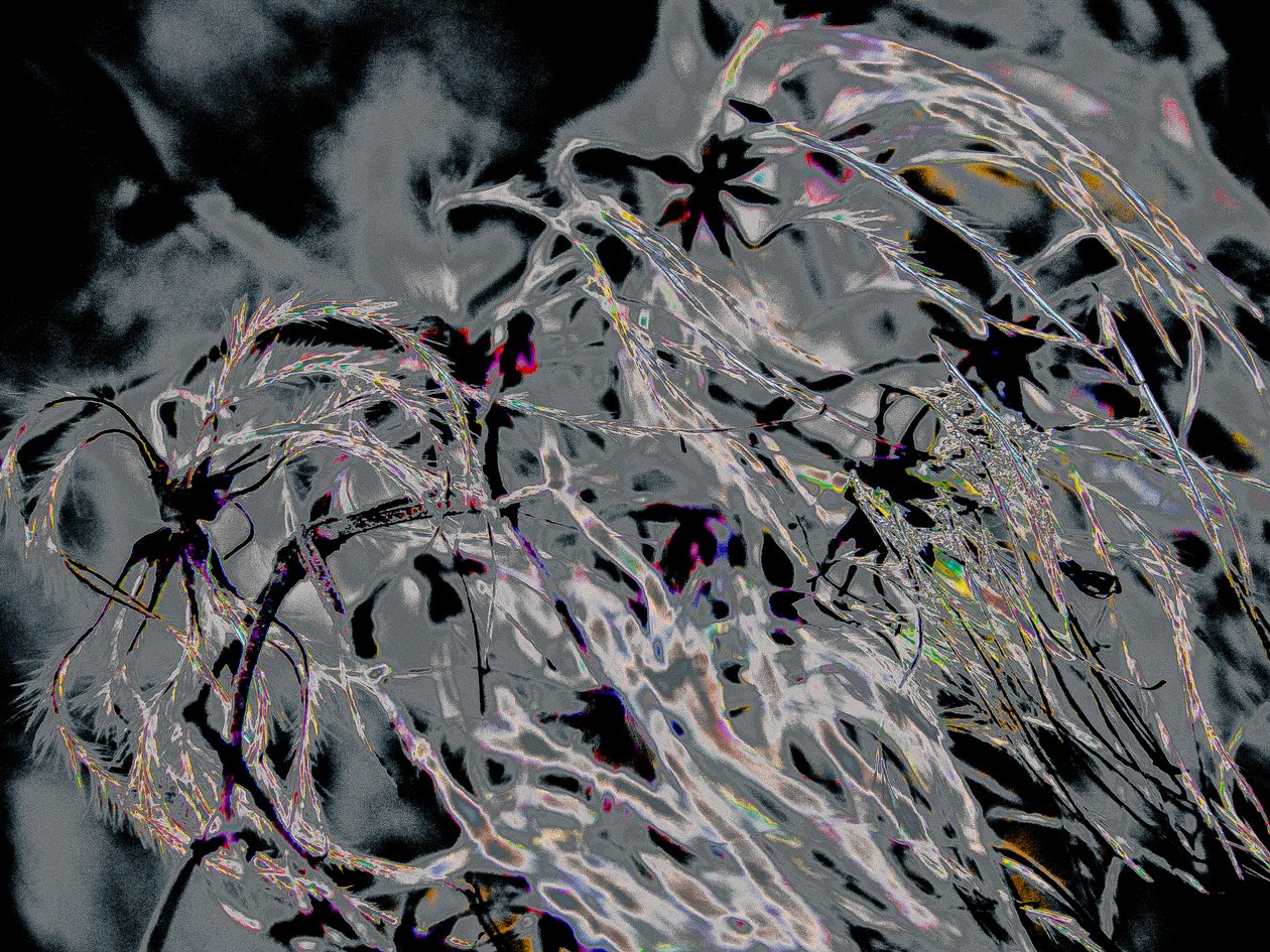 Countryfile, 2015 (foto) door Alice Gur Arie