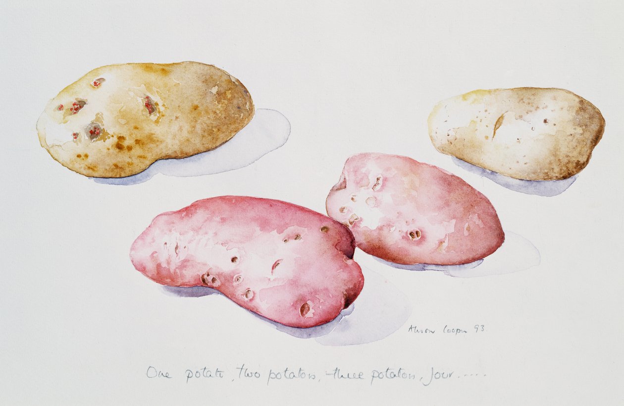Aardappelstudie, 1993 door Alison Cooper