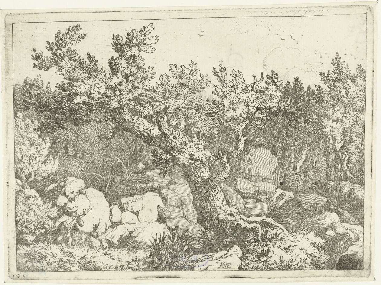 Landschap met jager bij grote boom door Allaert van Everdingen