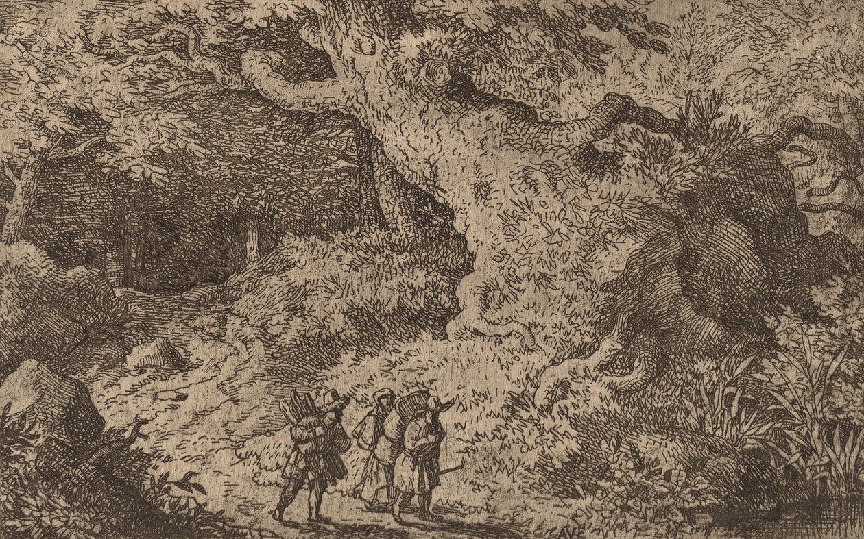 Een dicht bos, waarschijnlijk ca. 1645-1656 door Allart van Everdingen