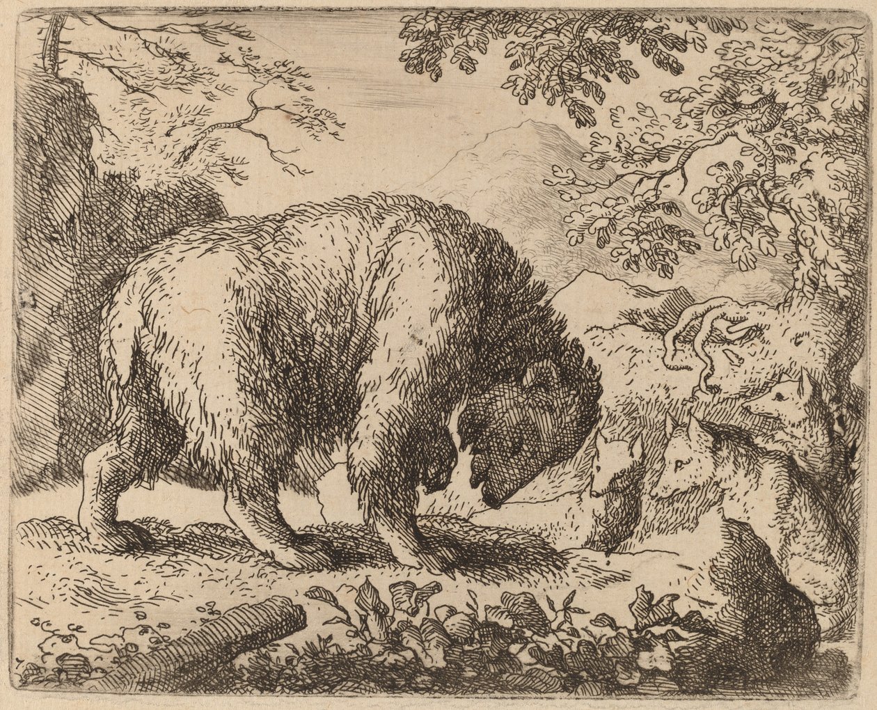 De Beer Afgeleid door Praat over Honing, waarschijnlijk ca. 1645-1656 door Allart van Everdingen