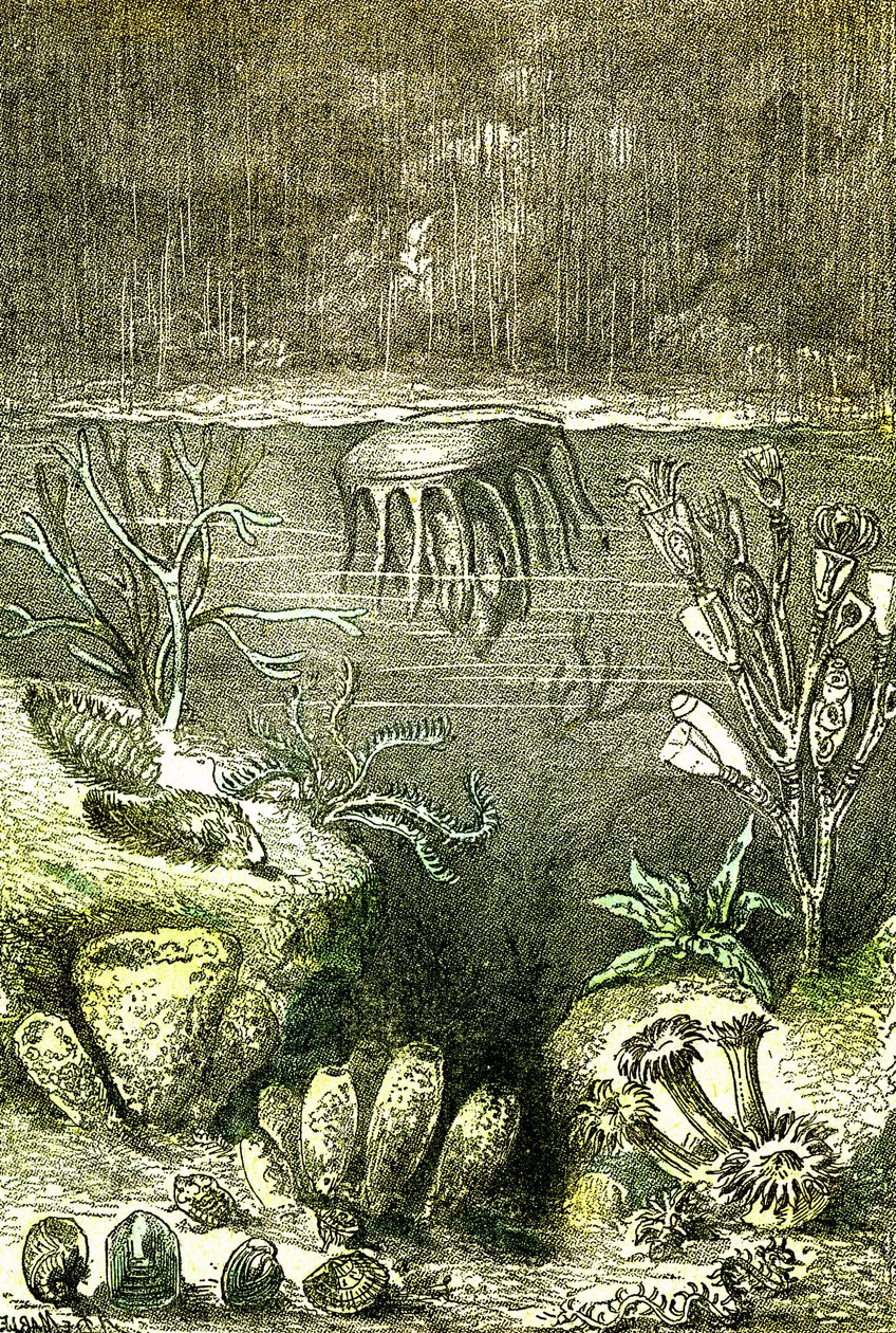 Prehistorie-Aarde en Zeeën: Het begin van de Silurische periode (J. Rengade. Tekening door Demarle. 1885 door Alphonse Demarle