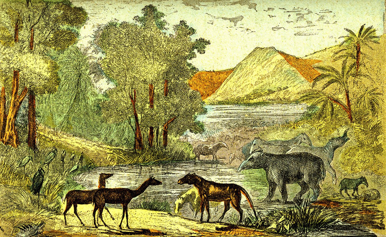 Prehistorie - Eoceen Periode: Van rechts naar links: Paloeotherium, Anoplotherium, Xiphodonts en de vogels Tantalus. Natuurlijke creatie en levende wezens. Tekening door A. Demarle. 1885 door Alphonse Demarle