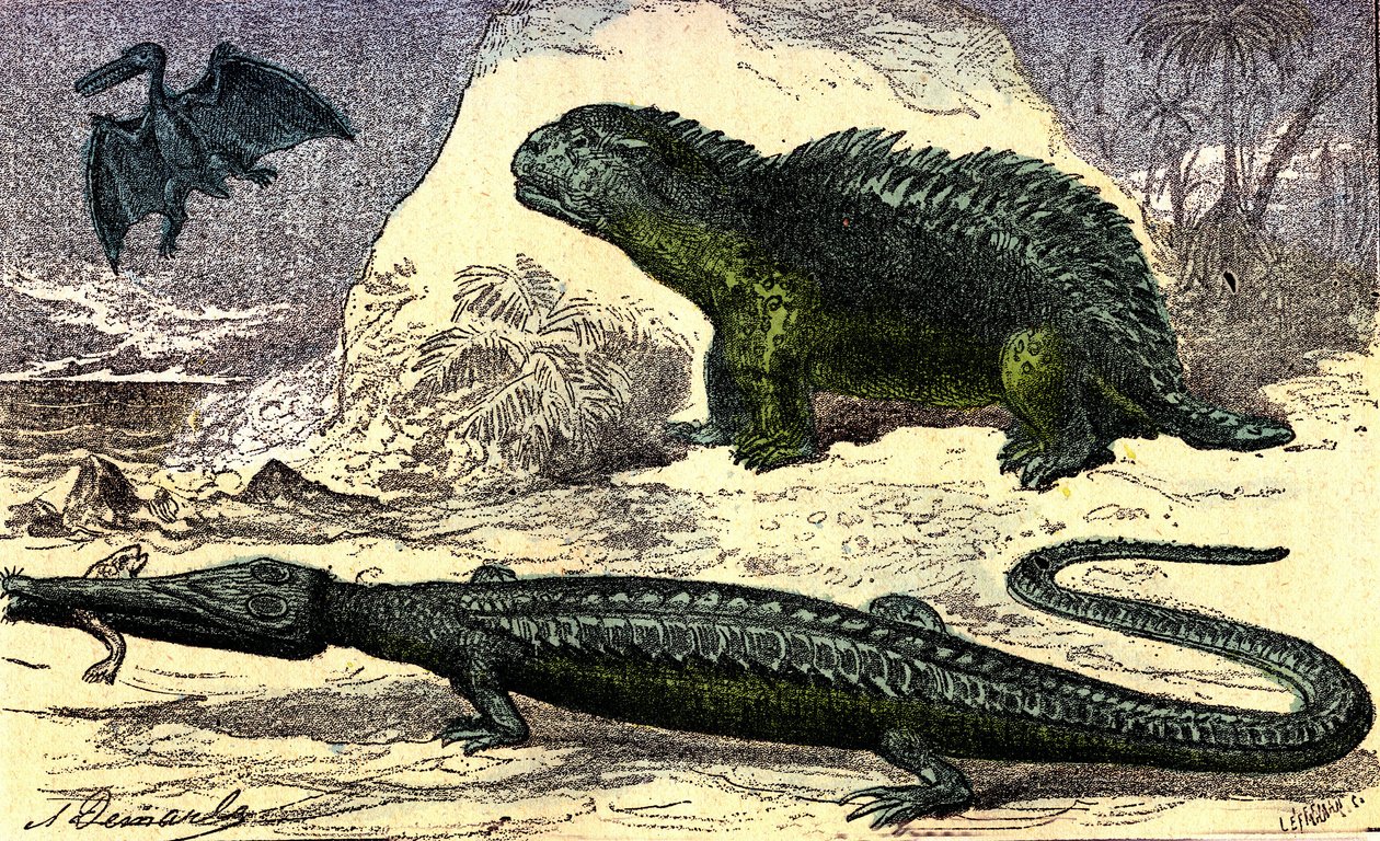 Prehistorie - Jura Periode: De Teleosaurus en de Hyleosaurus. De Pterodactylus boven. Natuurlijke Creatie en Levende Wezens. Tekening door A. Demarle. 1885 door Alphonse Demarle