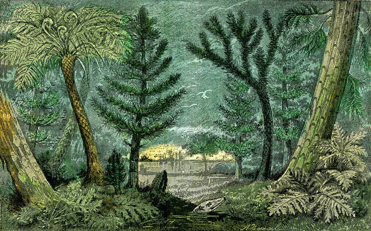 Prehistorie, periode van steenkool: Moeras en boor van de steenkoolperiode (J. Rrengade) door Alphonse Demarle