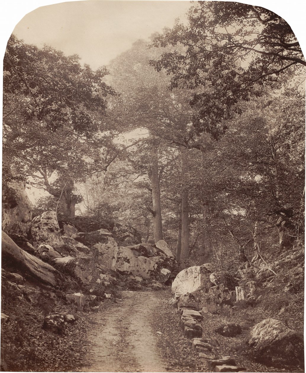 Fontainebleau,ca. 1860 (foto) door Alphonse Francois Jeanrenaud