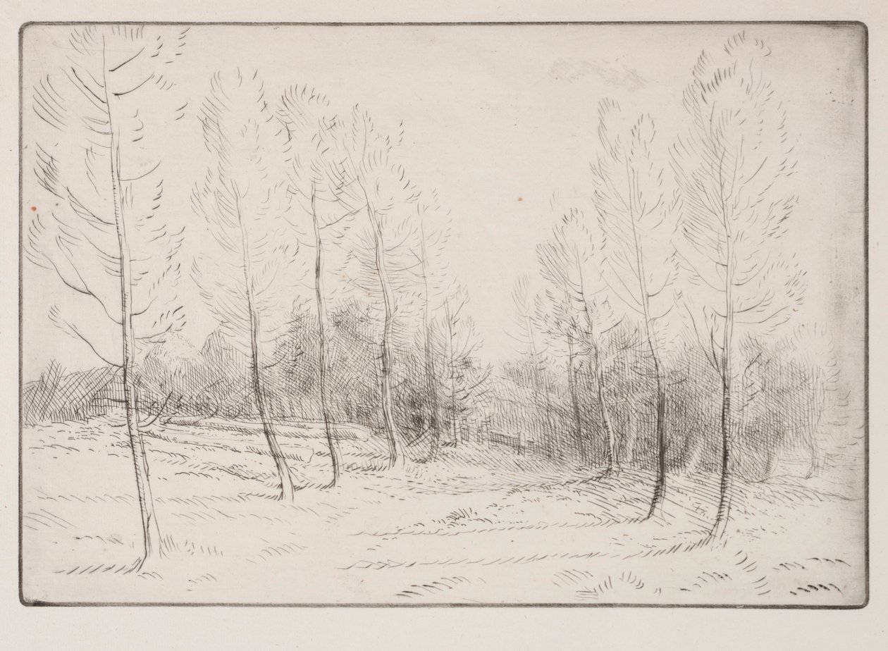 Laan van Populieren door Alphonse Legros