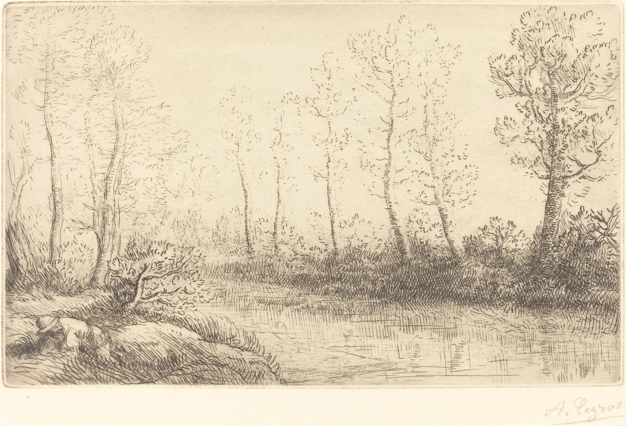 Berkenbomen: Waterkant gezien in ochtendlicht door Alphonse Legros