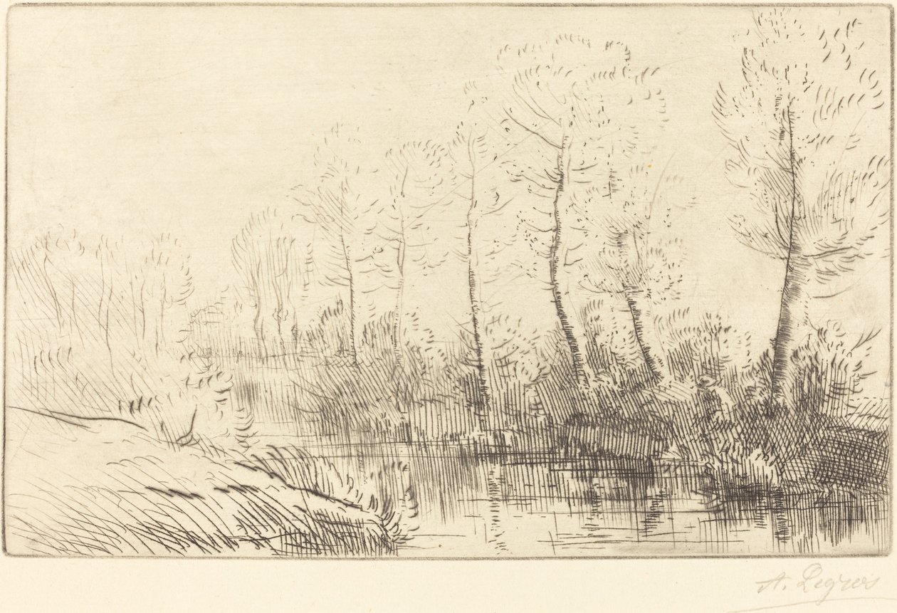 Berkenbomen: Waterkant gezien in ochtendlicht door Alphonse Legros