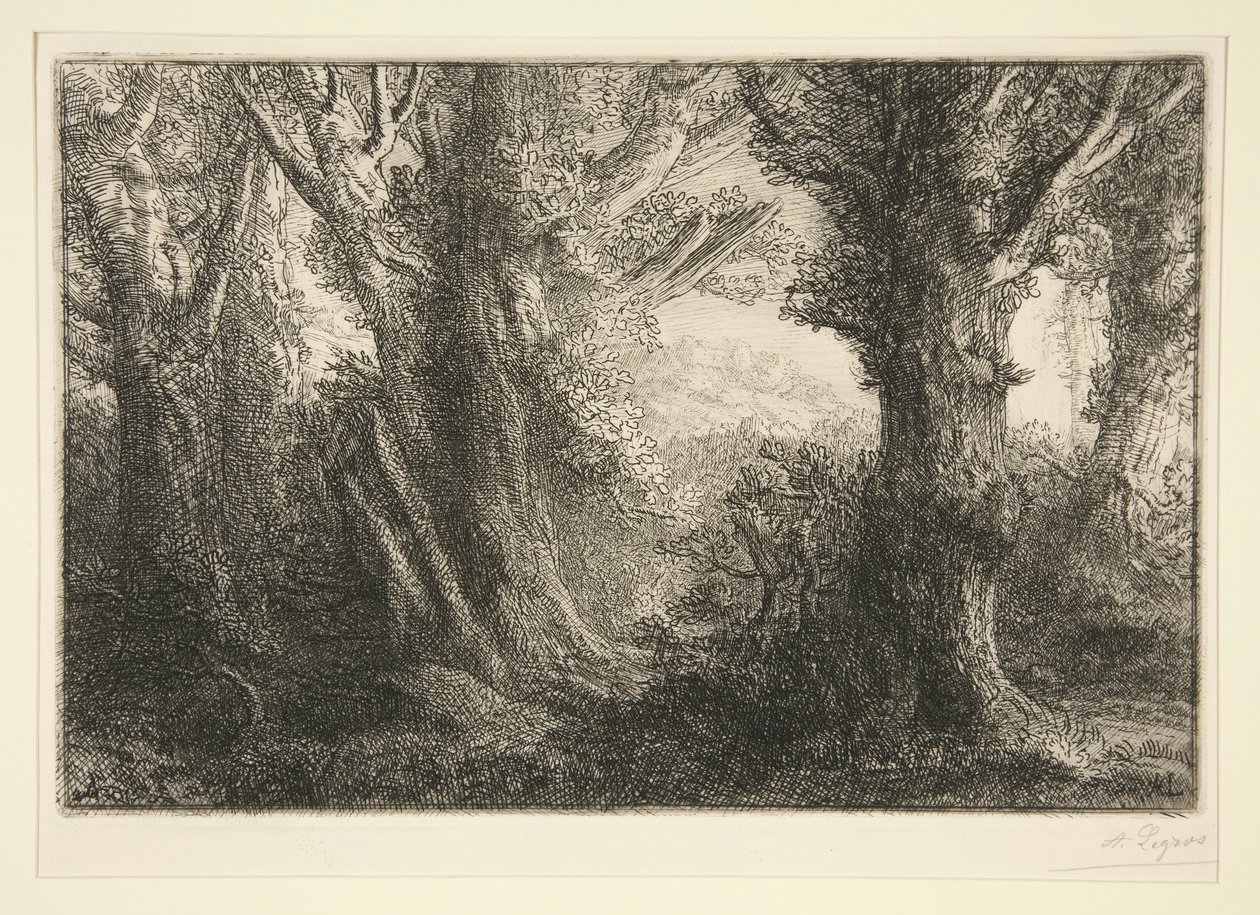In het bos van Conteville door Alphonse Legros