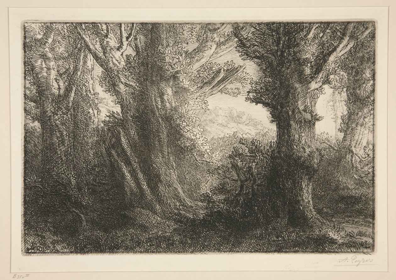 In het Bos van Conteville door Alphonse Legros