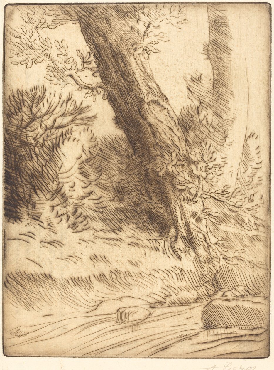 Rand van een beek door Alphonse Legros