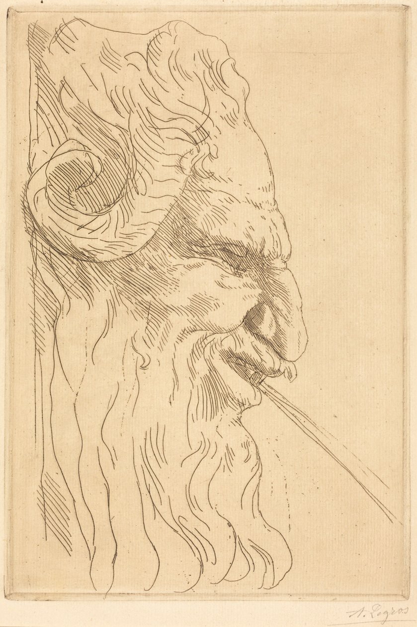 Hoofd van een sater door Alphonse Legros