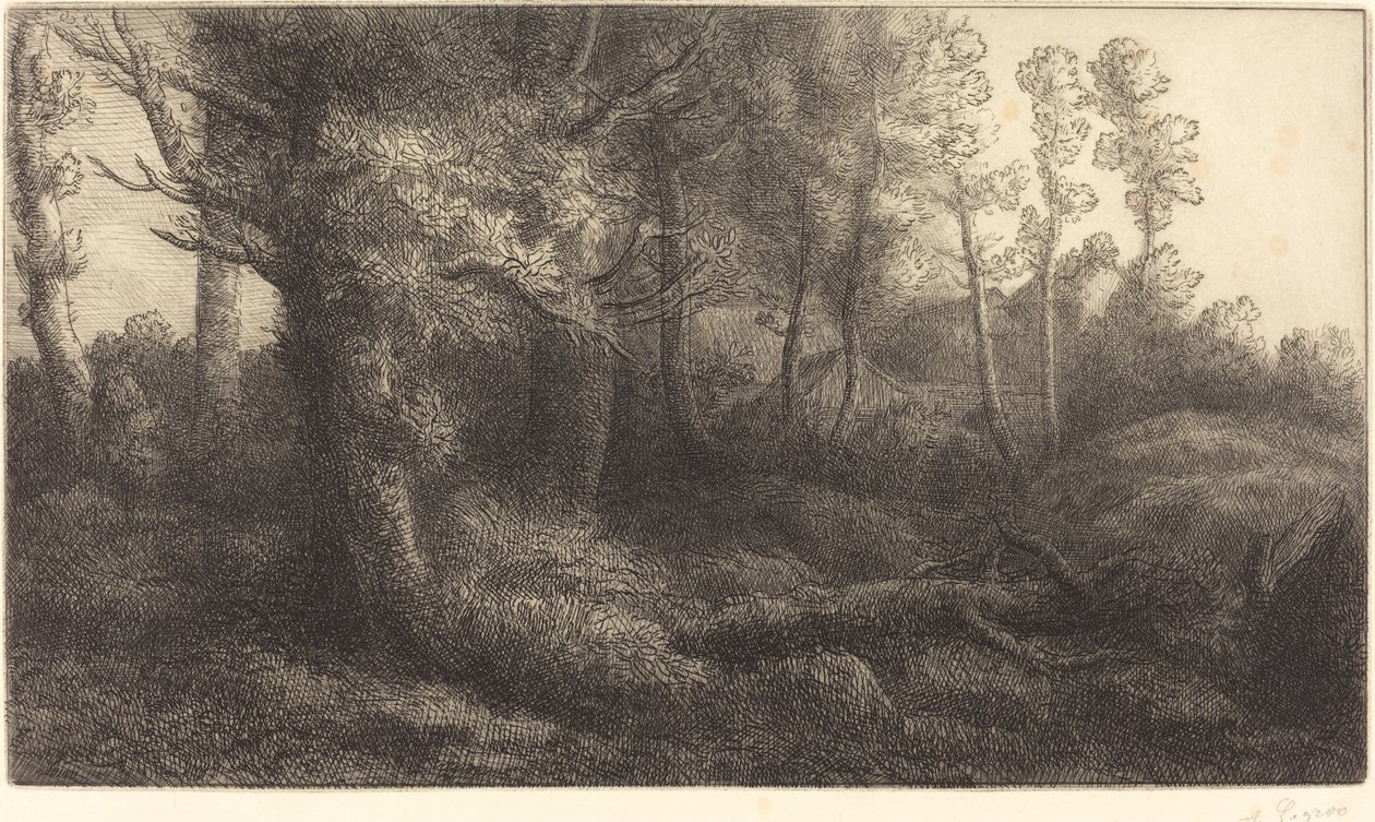 In het Bos (Bosrand) door Alphonse Legros