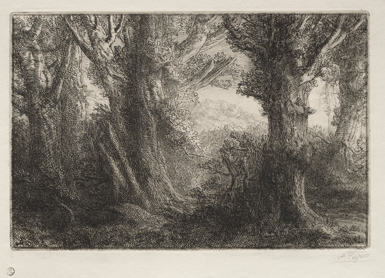In het bos bij Conteville door Alphonse Legros