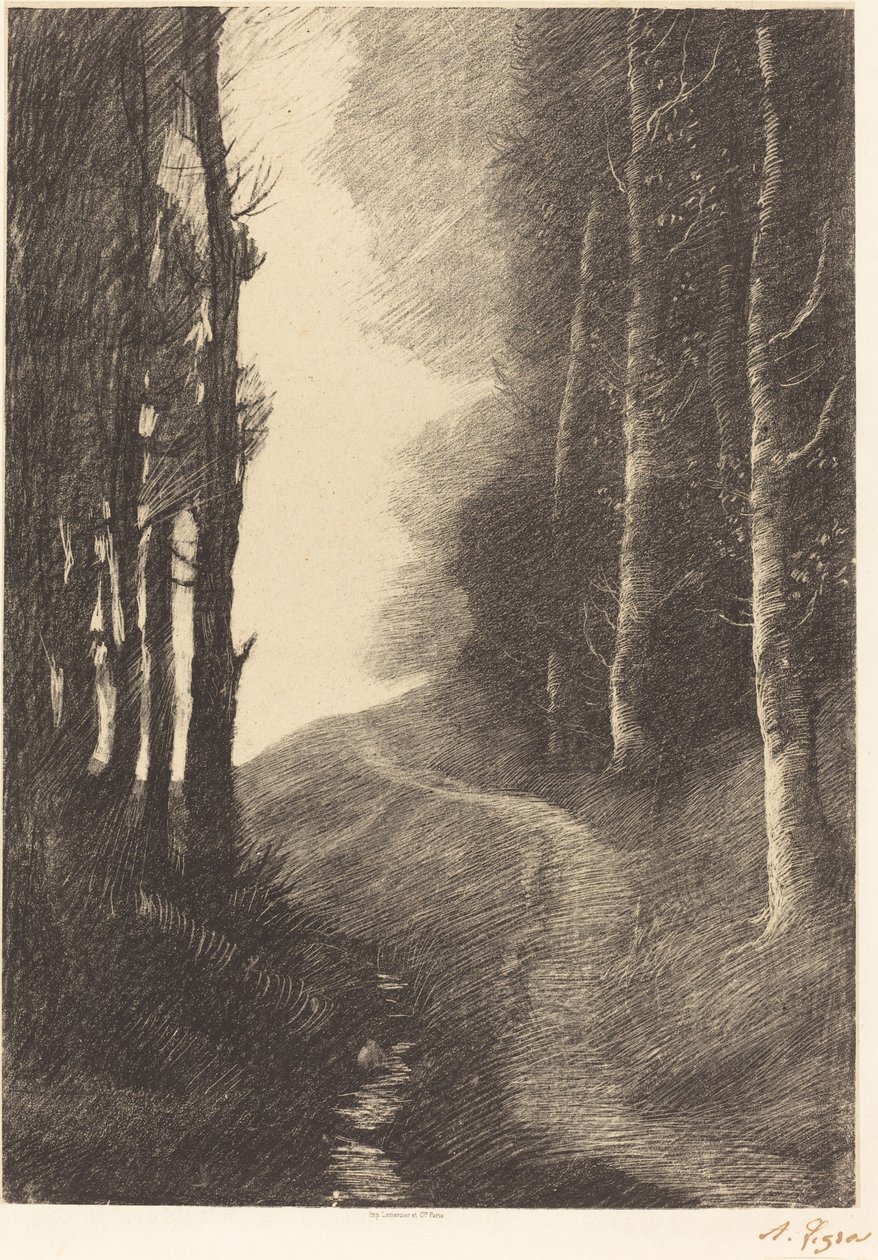 Landschap met berkenbomen door Alphonse Legros