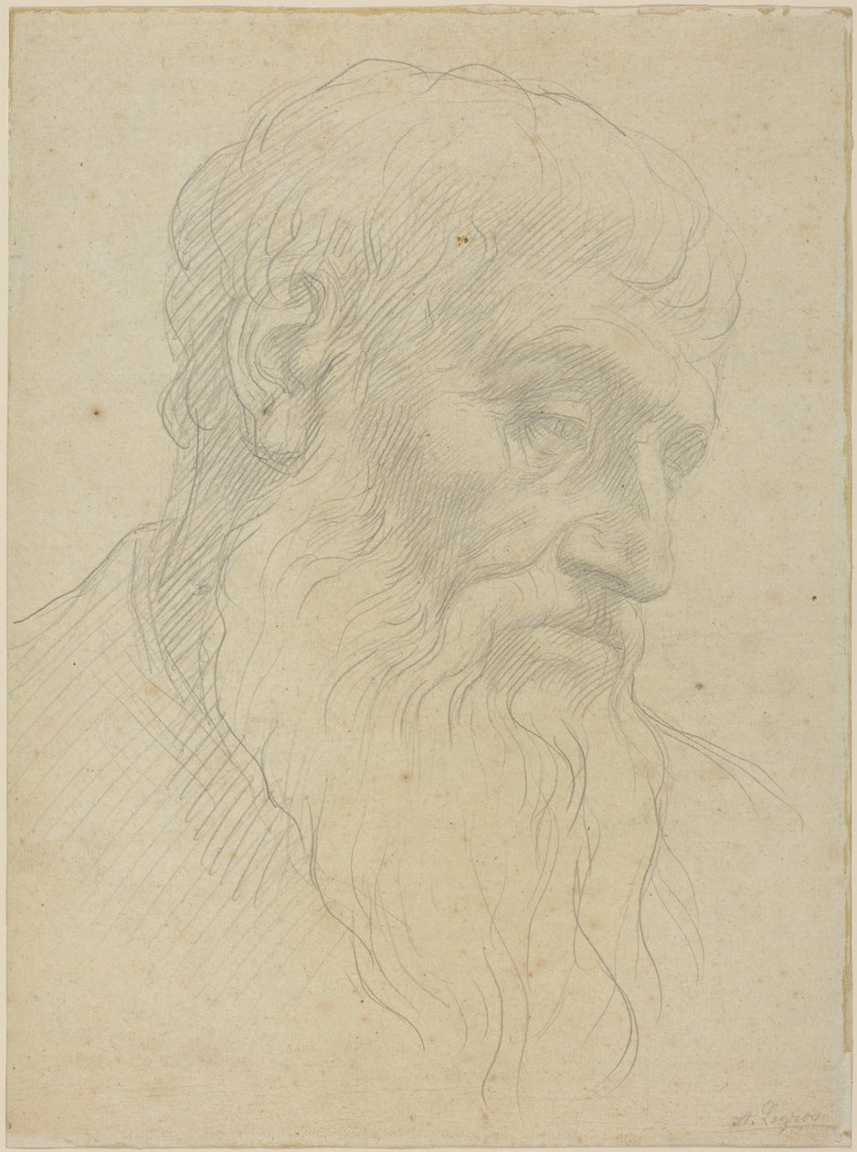 Studie van een hoofd door Alphonse Legros