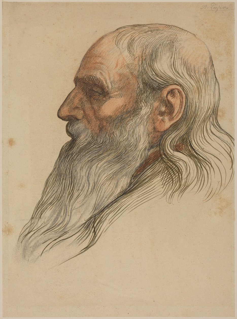 Studie van het hoofd van een man met een volle baard door Alphonse Legros