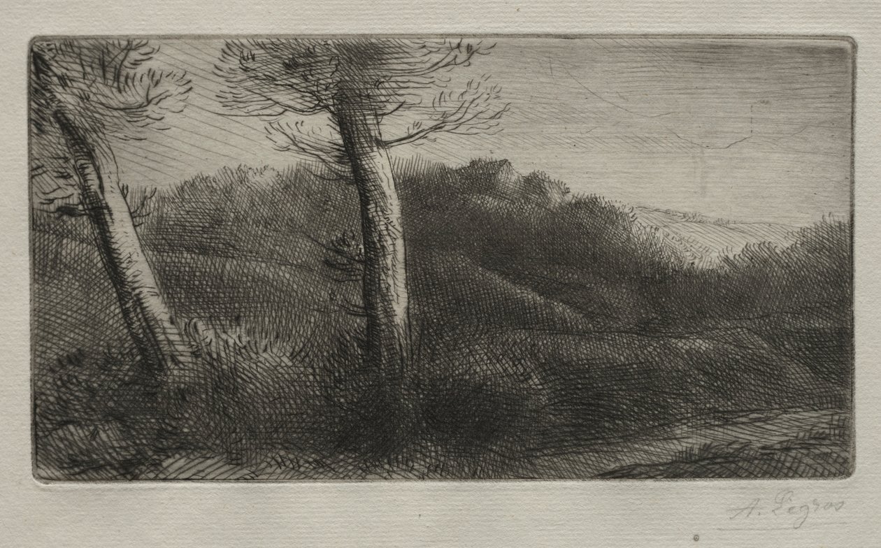De reiziger uitgestrekt op het gras, ca. 1888 door Alphonse Legros
