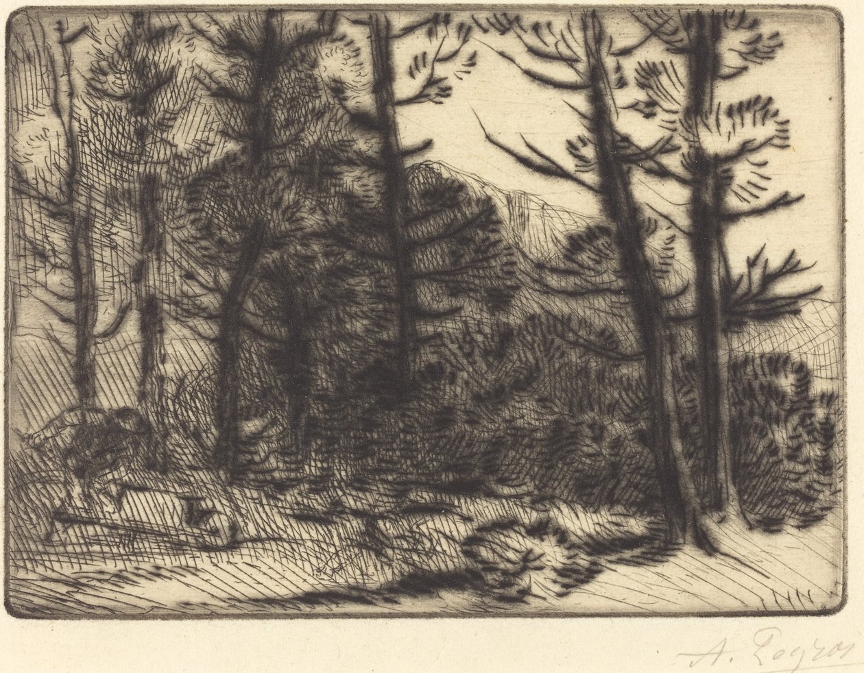 Woods in Winter Sun door Alphonse Legros